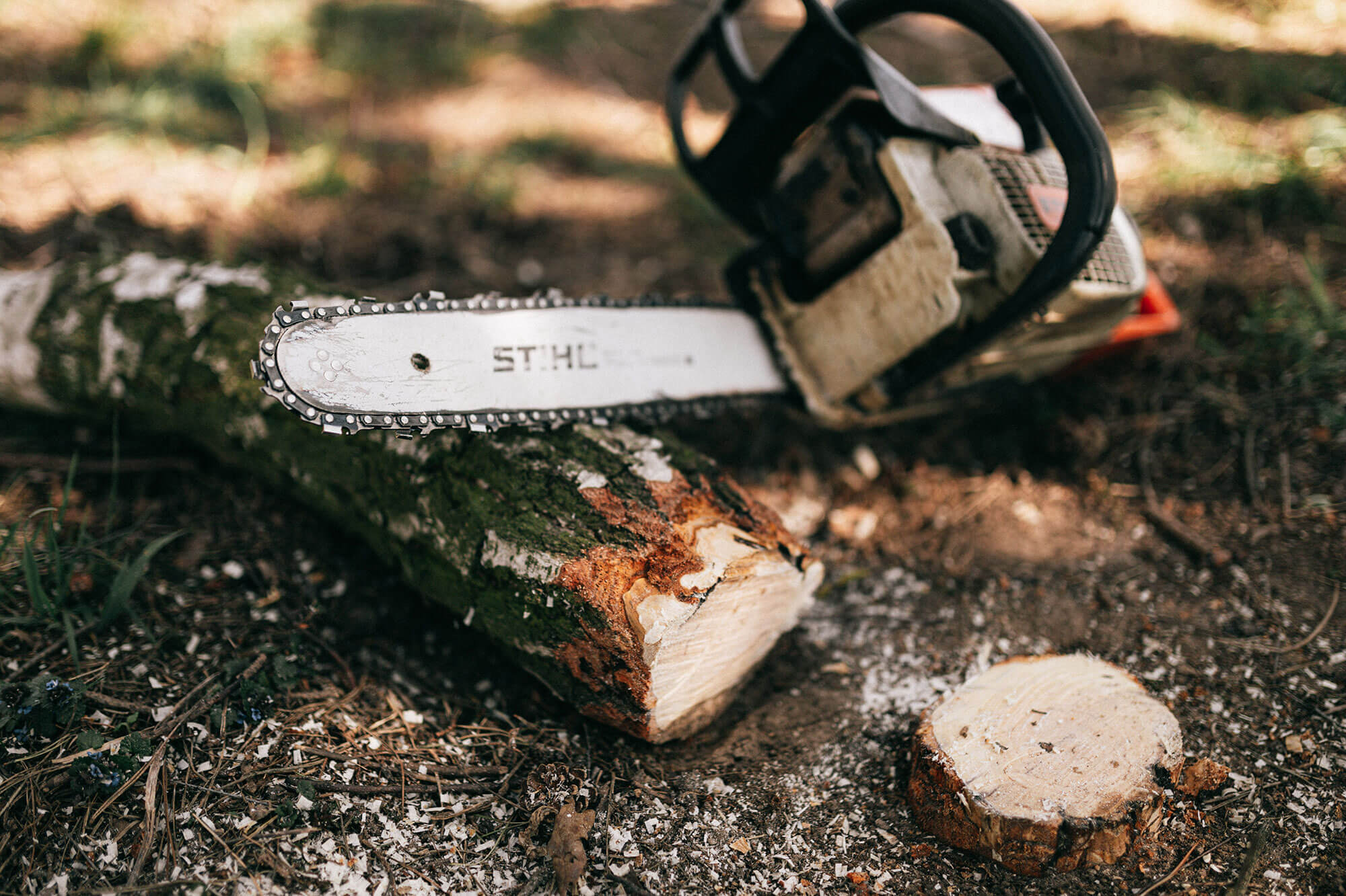 land clearing, tree pruning, tree removal, tree trimming, tree care, tree maintenance, tree services, tree removal service, lawn trees, tree trimming service, tree and shrub care, pruning oak trees, tree cutting service, tree doctor, tree company